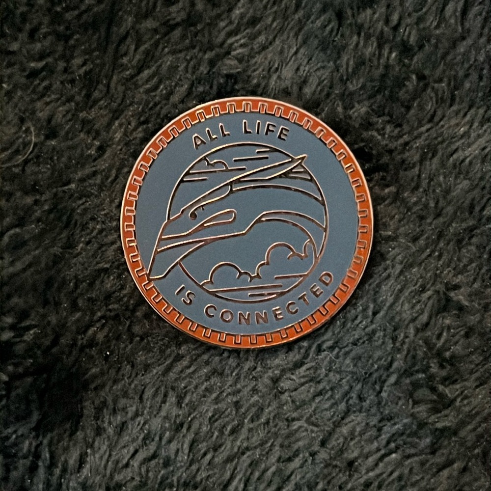 Disney Pandora World of Avatar All Is Connected Mystery Pin Walt Disney World